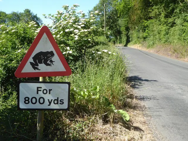 England Supports Wildlife Protection