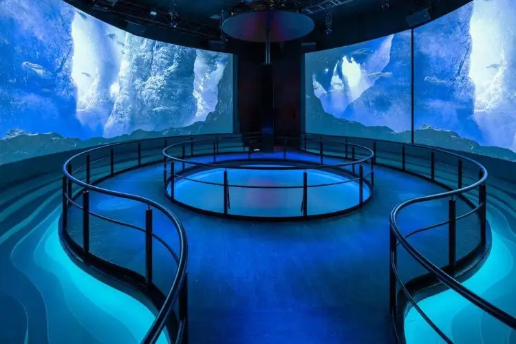 FlyOver Offers A Truly Immersive Experience