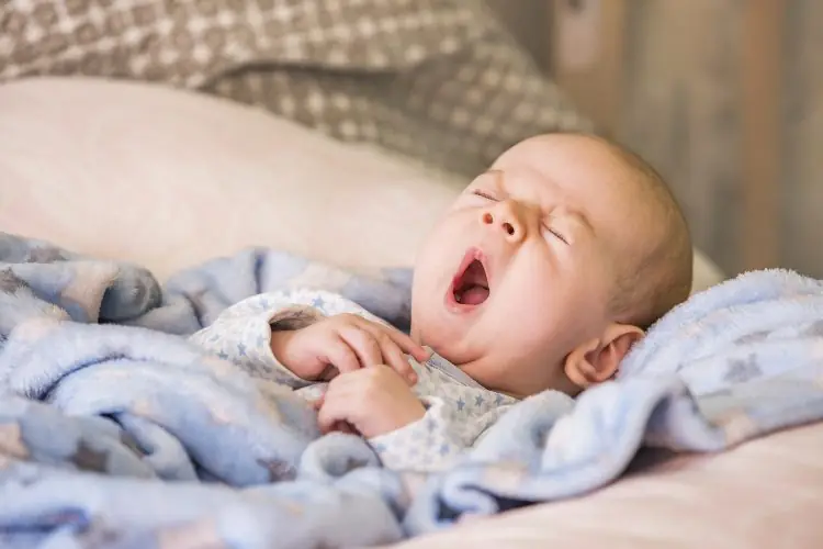 Dreaming Before Birth